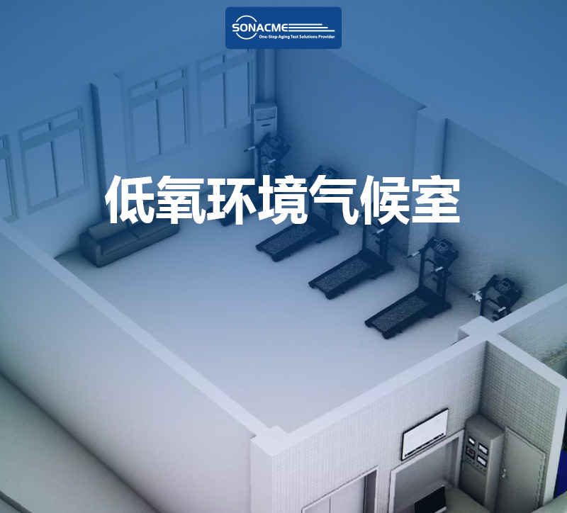 间歇性缺氧训练的好处：从神经保护到体能提升，低氧环境气候室助力科学训练
